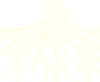 Deep Root Nourishment